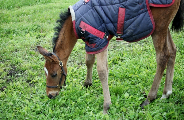 �x�C�����O�{�[�C���@UHB�t �@3���@7/31�@����