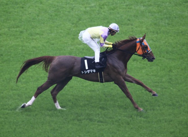 �g�V�U�}�L���@4�����s�o����