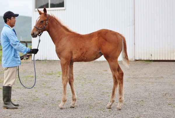 �ʐ^�̓^�C���q���C����11