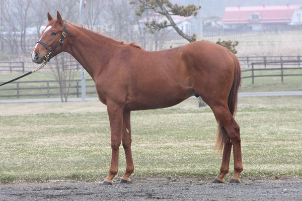 ���[�h�N���X�^����