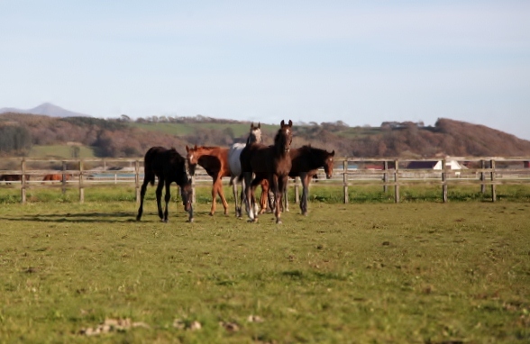 �g�V�U�c���c�����@500�����@�D���@10/22�@�V��