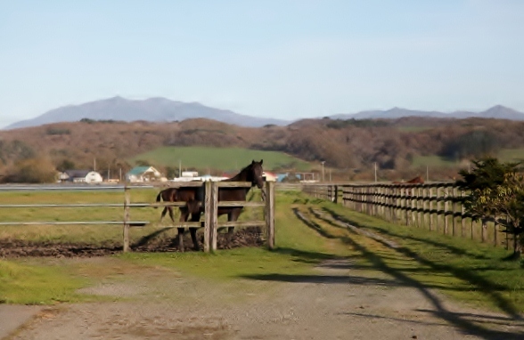 �V���C�j�C�`�J���@500�����@�@�D���@11/06�@�V��