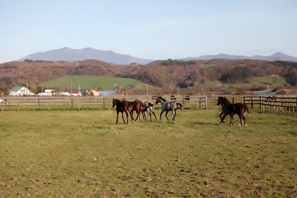 �g�V���[�Y���@C2    �D���@11/13�@���� 