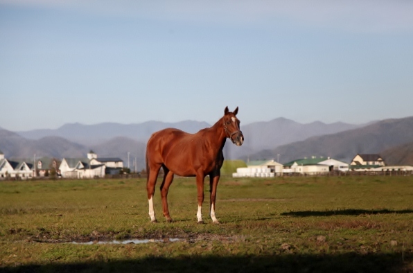 �}���[���R���@C2  �@�D���@11/15�@���c