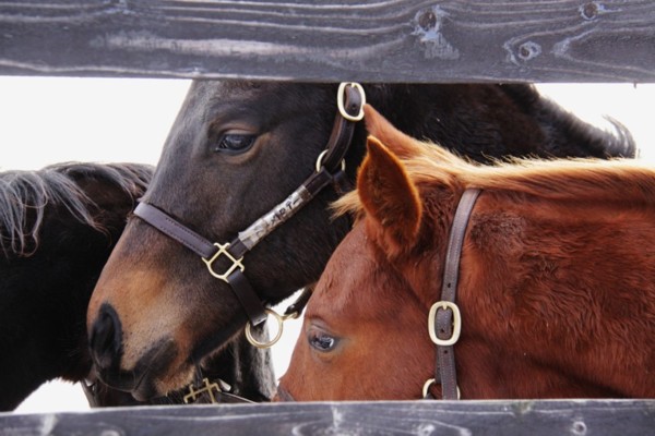 �g�V�U�e�B�A�����@�b2-7�g�@ �D���@12/5�@����