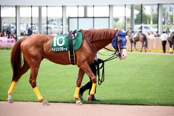 �x�C�����O�{�[�C���@2011�A���R�[��S  �@3���@12/25�@���q