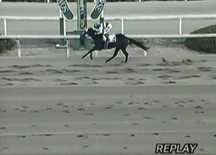 �A�C�V�A�b�e���J�C���@C3�j�@�D���@1/12�@���c