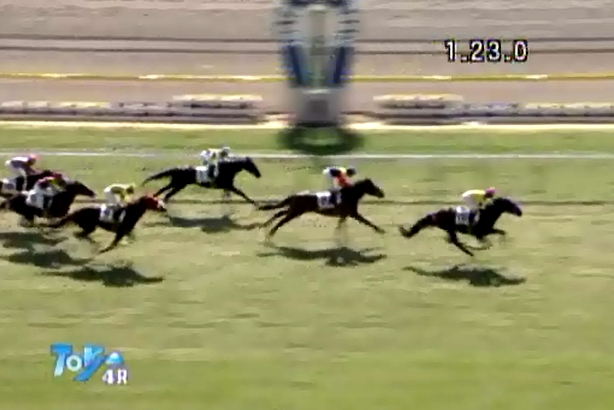 �g�V�U�O���C�g���@3�Ζ������@�D��!! 2/11 ����