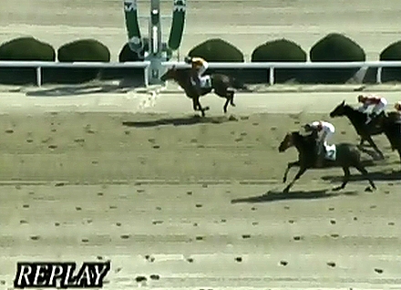 �g�V�U�e�B�A�����@�b2-6�g�@ �D���@2/12�@����