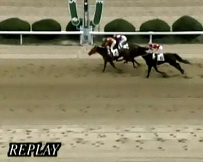 �g�V�U�e�B�A�����@�b�Q�|�S�g�@ �D���@3/17�@����