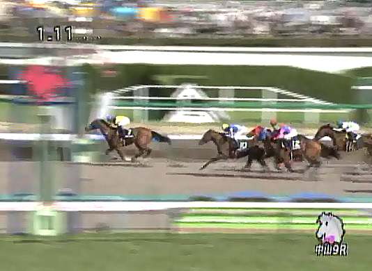 �g�V�L�����f�B���@�t��S  1600�����@�D���@�@4/1�@���R