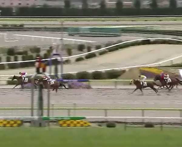 �g�V�U�W���G�����@3�Ζ������@3���@4/21�@����