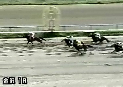 �s�b�`�}�����@�T���n��ʁ@�b�R�V�@�D���@�@����@4/24