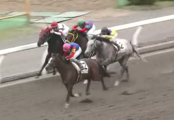 �g�V�U�c���c�����@�R�Έȏ�500���ȉ��@�Q���@6/23�@���� 