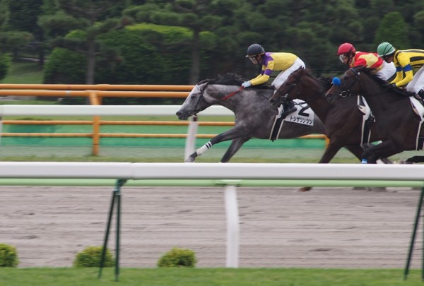 �g�V�U�c���c�����@�R�Έȏ�500���ȉ��@�D���@7/7�@���� 