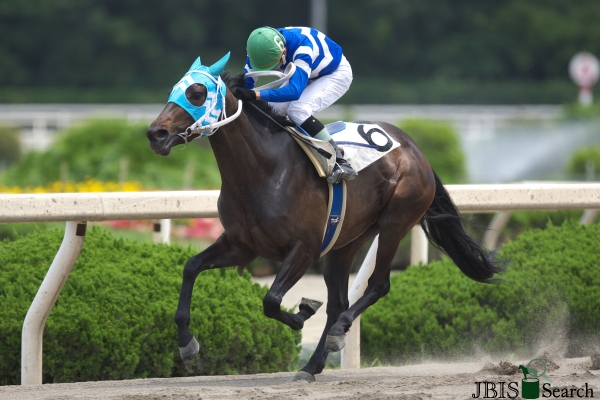 �A�C�V�A�b�e���J�C���@C3�j�@�D���@7/12�@�P�H