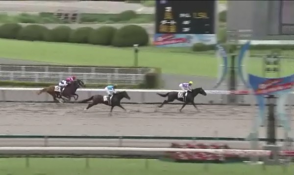 �T�����C�Y�X�}�[�g���@3�Ζ������@�D���@7/14�@���� 