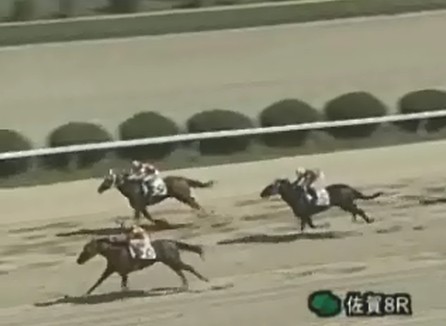 �g�V�U�e�B�A�����@C1�|3�g�@ �D���@9/1 ����