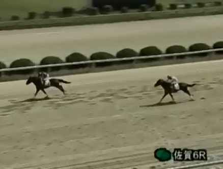 �g�V�U�m�����[���@�b�Q�|�Q�Q�@�D���@10/7�@����