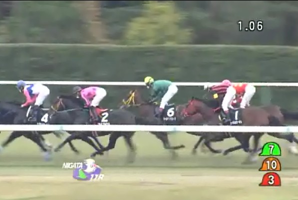 �c���~�v���`�i�����@�����X�e�[�N�X�@2���@�@10/28�@�V��