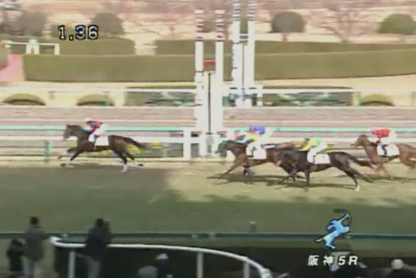 �S�[���f�����[�t���@���C�N�f�r���[��_�@2���@12/16