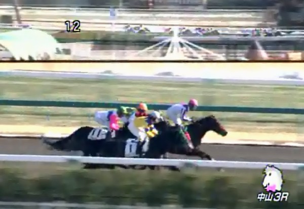 �g�V�X�v�����O���@3�Ζ������@2���@�@1/20�@���R