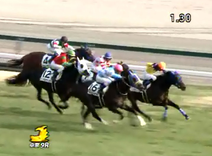 �g�V�U�O���C�g���@4�Έȏ�500�����@2���@1/20�@����