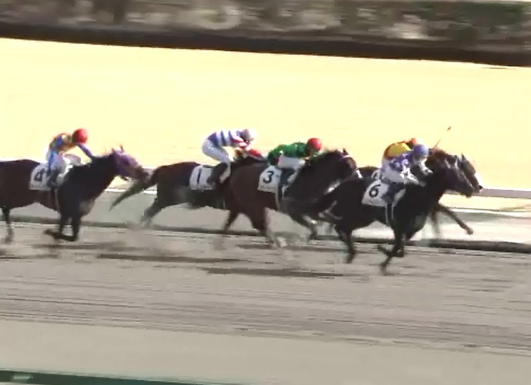 �T�����C�Y�X�}�[�g���@4�Ώ�500�����@�@�D���@1/27�@����