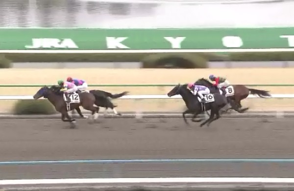 �T�����C�Y�X�}�[�g���@4�Ώ�1000�����@�@3���@2/17�@���s