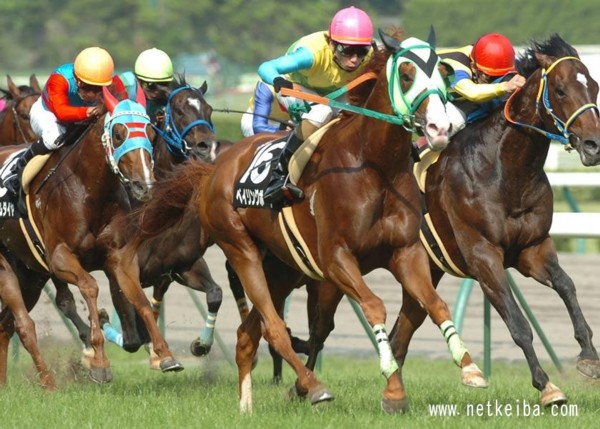 �x�C�����O�{�[�C�� (netkeiba.com)