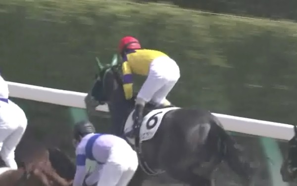 �g�V�X�v�����O���@3�Ζ������@�D���@�@3/9�@���R