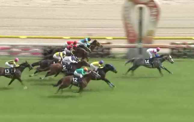 �g�V�U�O���C�g���@��������(1000����)�@2���@5/4�@����