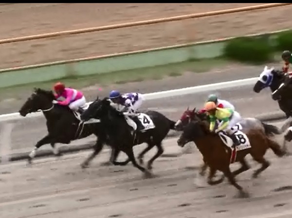 �T�����C�Y�X�}�[�g���@3�Ώ�500�����@2���@8/4�@����