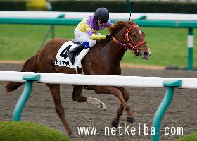 �g�V�i�M�T (netkeiba.com)