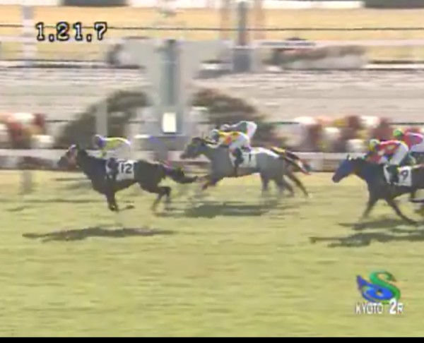 �g�V�X�g�����O���@2�Ζ������@�D���@11/23�@���s�@