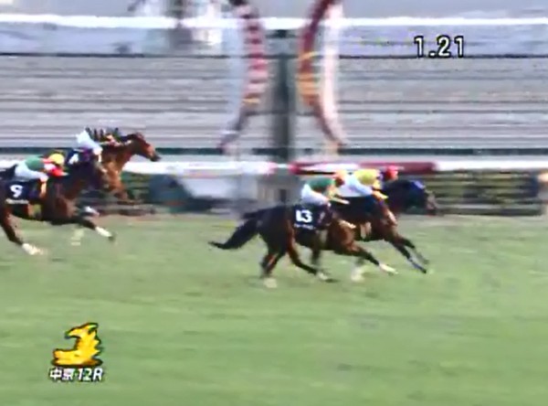 �g�V�U�O���C�g���@���R���ʁ@�D��!!     12/1�@�@����