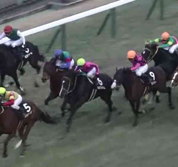 �c���~�v���`�i�����@�T���^�N���[�XH  �@3���@�@12/22�@�@�@��_