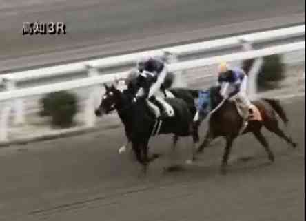 �m���F�b�����@ �b�R�@�@�@�D���@�@���m�@12/23