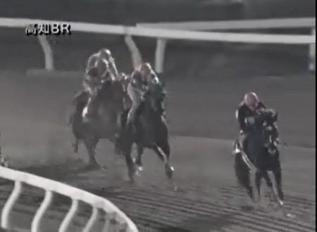 �m���F�b�����@ �f�u���C�h���s���ʁ@�@�D���@�@���m�@12/31