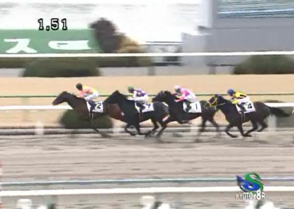 �T�����C�Y�X�}�[�g���@3�Ώ�1000�����@2���@1/15�@���s