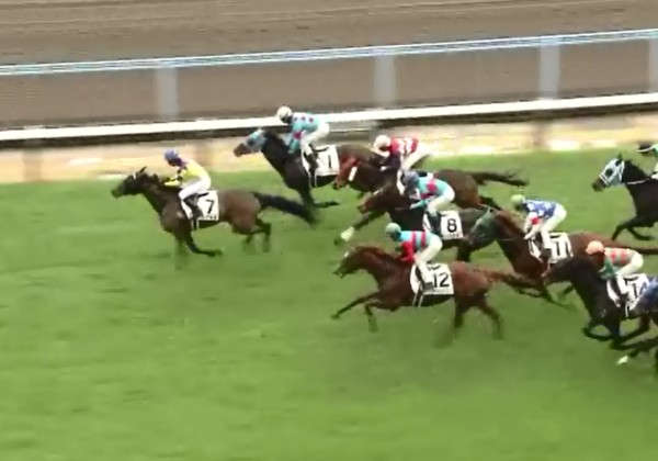 �g�V�U�L�~���@3�Ζ������@�D���@2/9�@���q