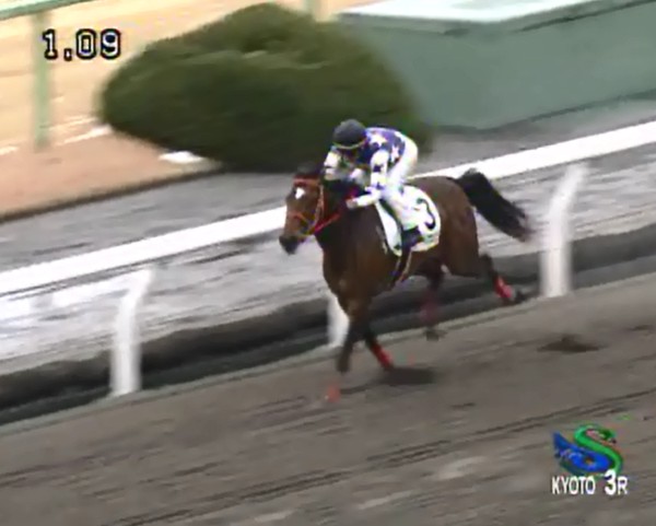 �T�����C�Y�A���v�X���@3�Ζ������@�D���@2/15�@���s