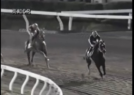 �m���F�b�����@�b�R�|�T�@�@�D���@�@���m�@3/4