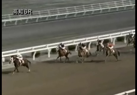 �m���F�b�����@�b�R�@�D���@�@���m�@3/16