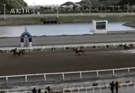 �m���F�b�����@�b2-6�@�D���@�@���m�@3/30