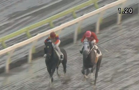 �n�C�p���[���@�P�S�S����Q�O�R�������@�D���@�@���@4/3