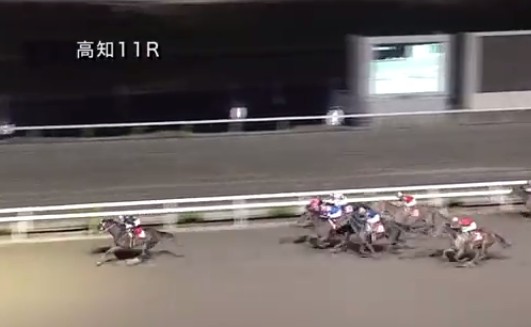 �m���F�b�����@�|⢐����ʁ@�b�Q�@�@�D���@�@���m�@5/17