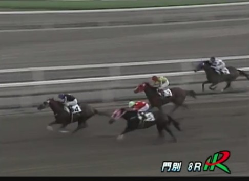 �X�e���C���x���b�^���@�R�Έȏ�b�S�@�D���@5/22�@���