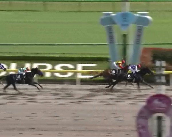 �T�����C�Y�X�}�[�g���@�������ʁ@�P�O�O�O�����@�D���@5/24�@����