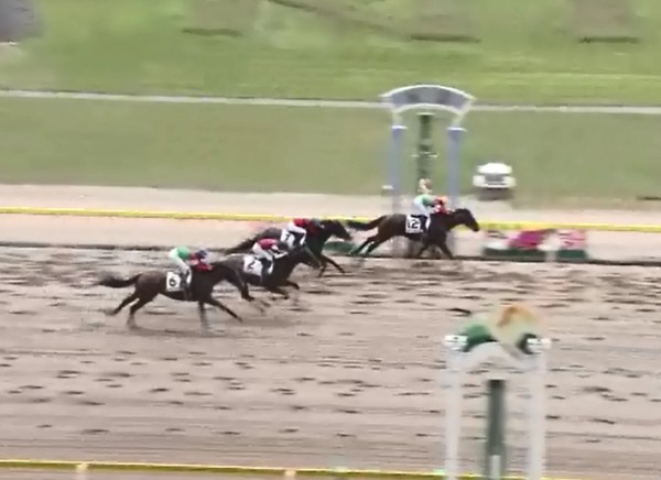 �I�E�P���S�[���h���@3�Ζ������@2���@5/25�@�V���@